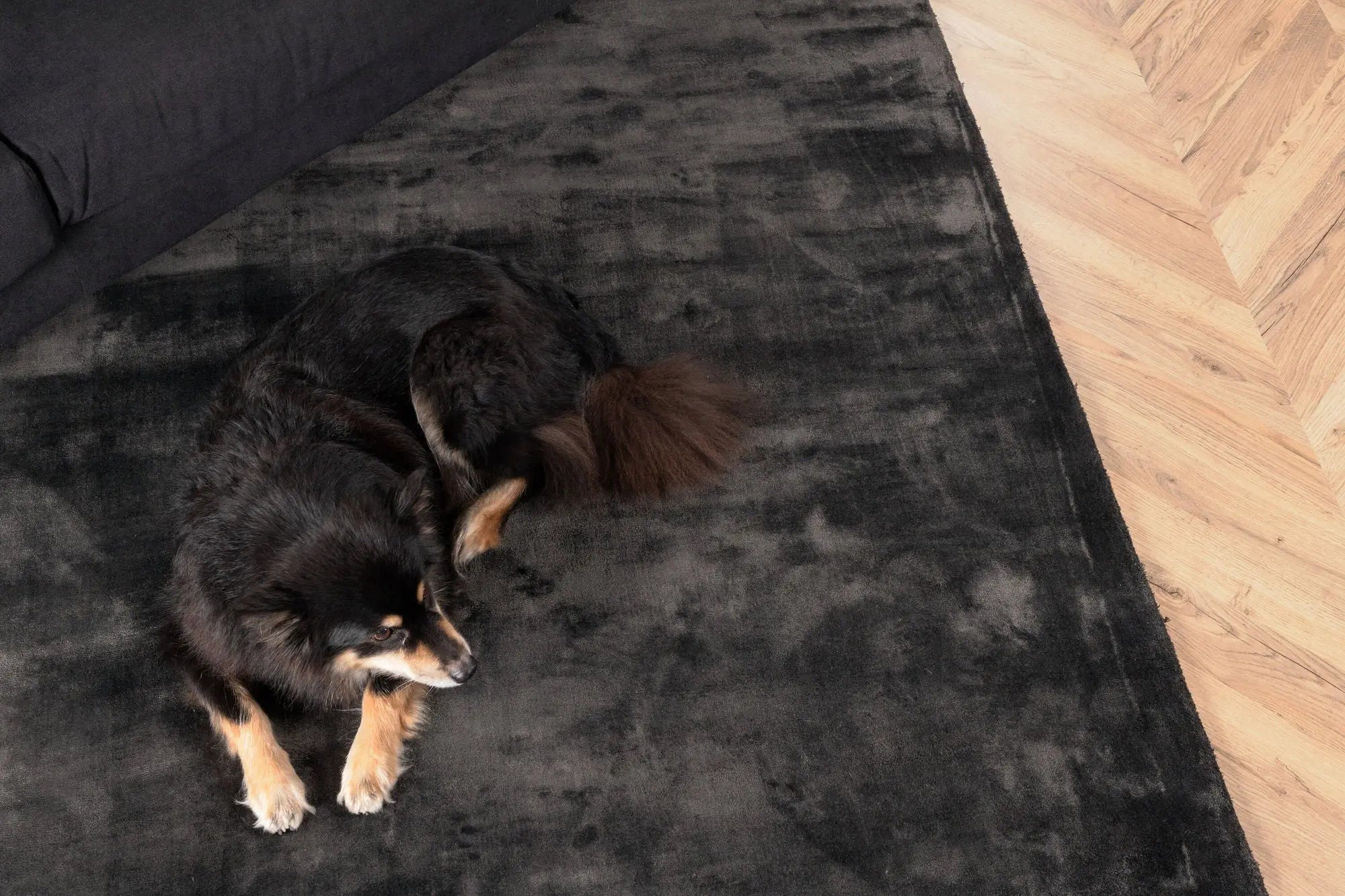 Tapis en viscose Indra - 170*240cm - 171 x 242 - Viscose